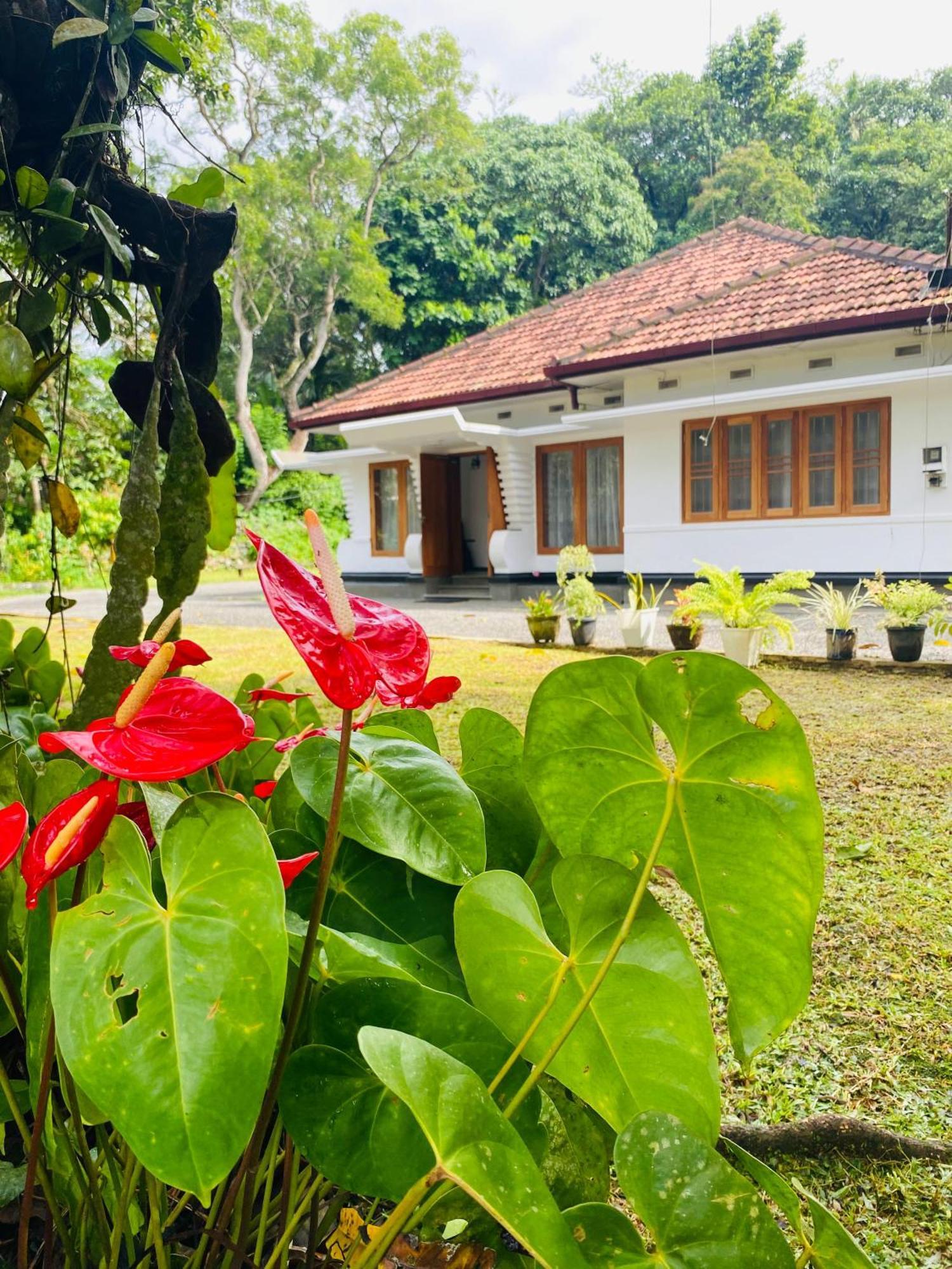 Happy Valley Residence Unawatuna Galle Eksteriør billede